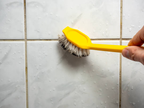 Best Emergency Mold Remediation in Downers Grove, IL